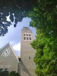 Blick zum Nest